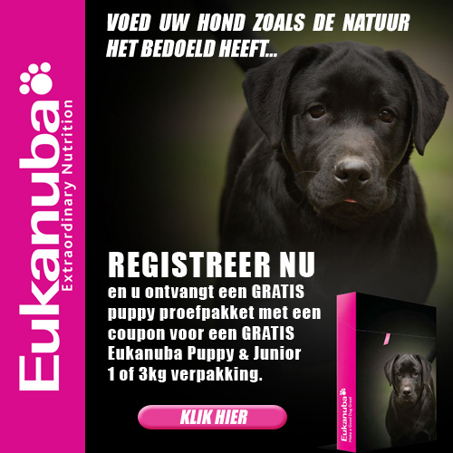 Eukanuba puppy proefpakket
