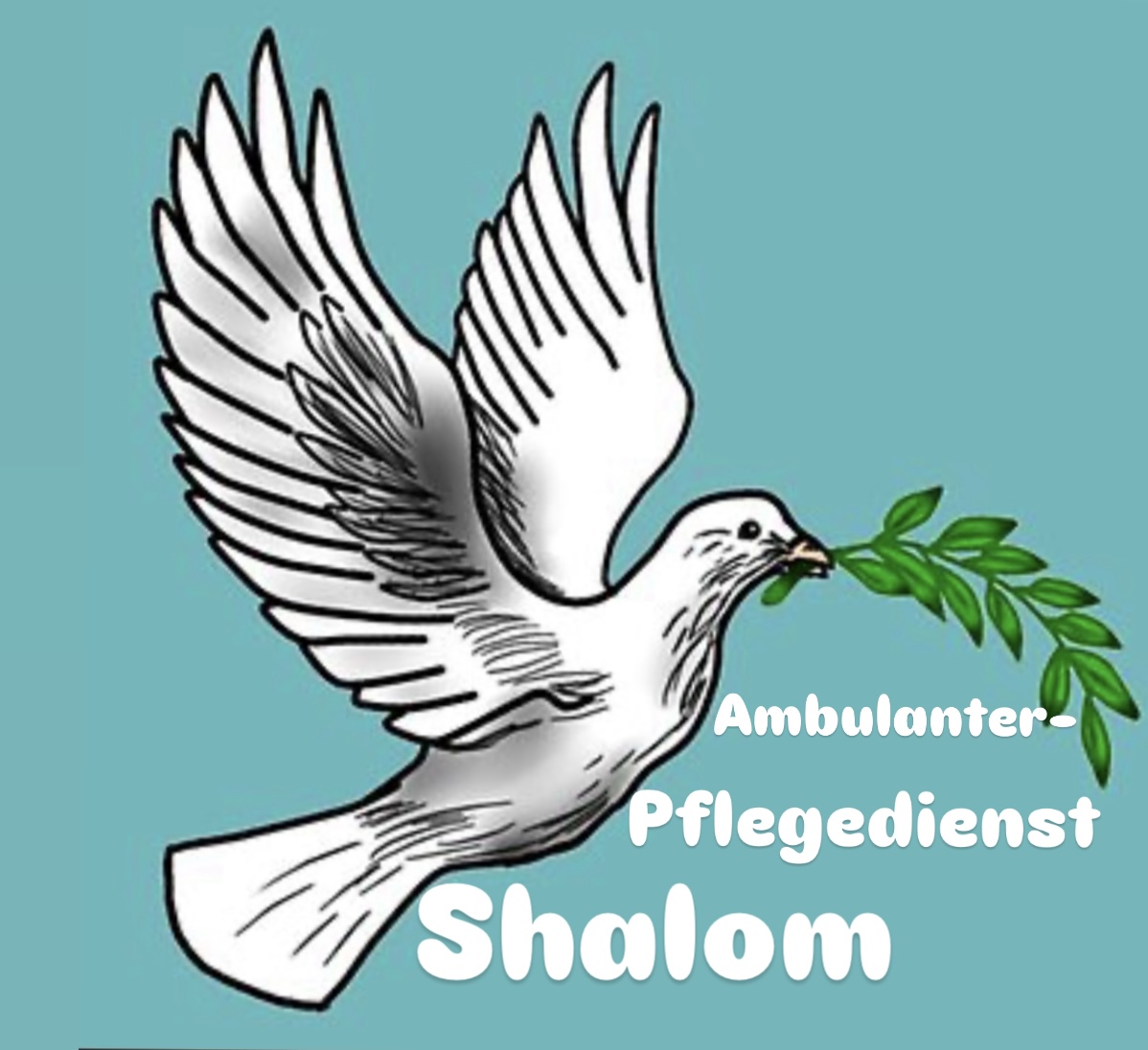 Kundenlogo von AmbulanterPflegedienst Shalom Kamyar Irandoust